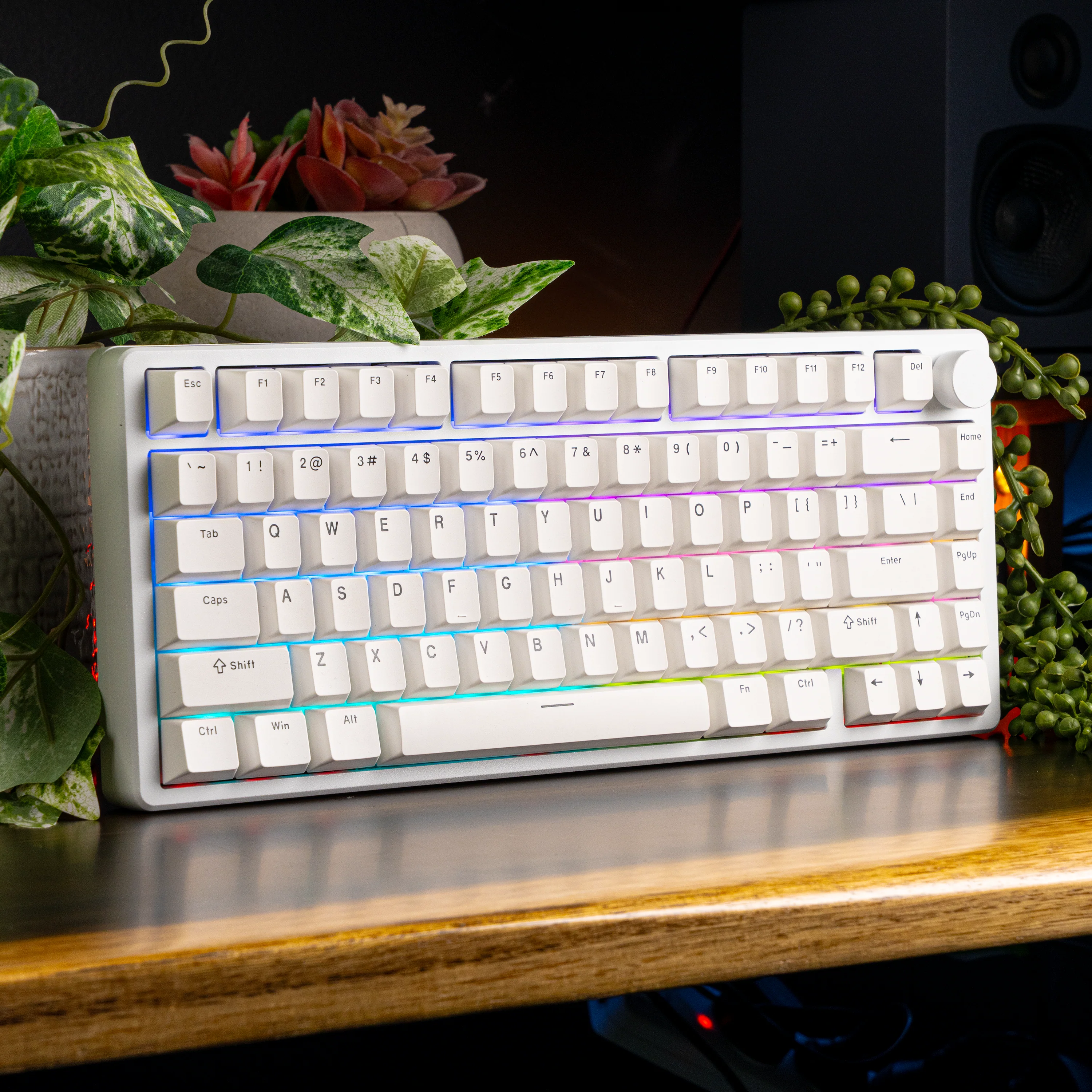 Aftershock White Kit - Image 2